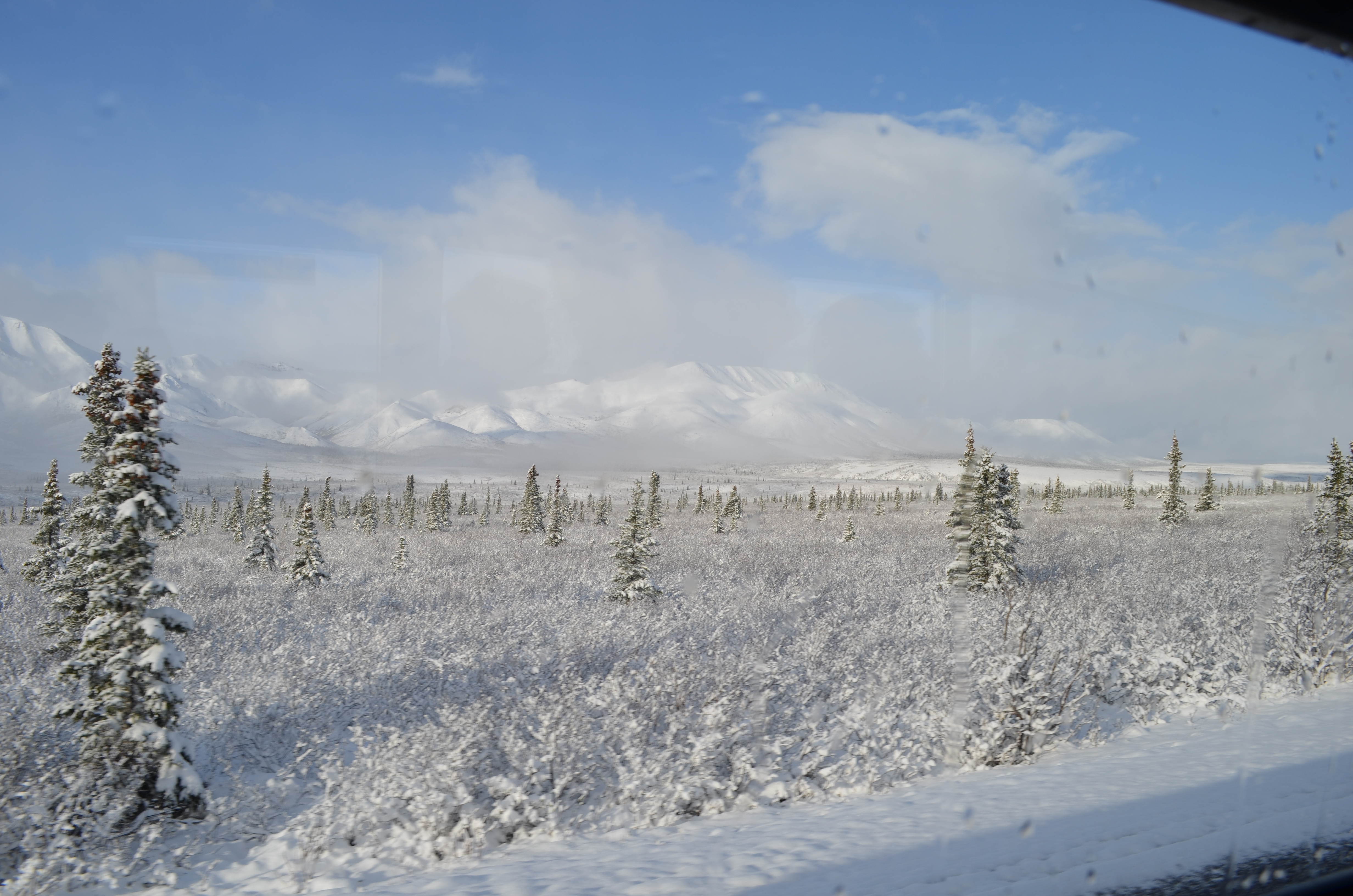 ./2017/08 - Alaska Cruise/03 - Denali/DSC_0211.JPG